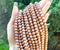 Rosewood Beads, 8mm, Round